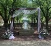 Pastel Wedding Arch