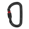 Petzl AM'D H-frame Black SCREW-LOCK carabiner