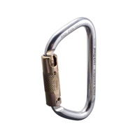 Rock Exotica rockSteel Auto-Lock Carabiner M31TL