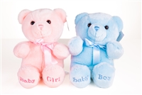 Its a Boy or Girl Small Teddy Bear