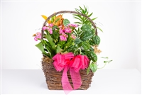 European Garden Basket - Large