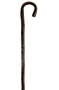 Hazelnut Walking Stick