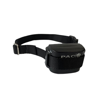 Pac dog hot sale training collars