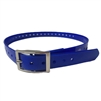 blue dog collar strap
