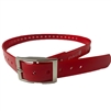 red dog collar strap