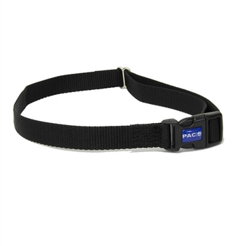 webbing strap dog collar