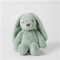 Jiggle & Giggle Green Bunny Medium