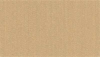 Bainbridge Fabrics & Textures Tatami Silks Chai Matboard