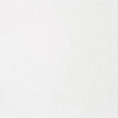 Bainbridge Fabrics & Textures Metallic Rice Paper White Armor Matboard
