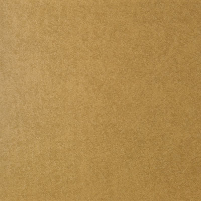 Bainbridge Fabrics & Textures Metallic Rice Paper Gold Coin Matboard