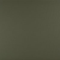 Bainbridge Fabrics & Textures Raw Silks Greenbrier Matboard