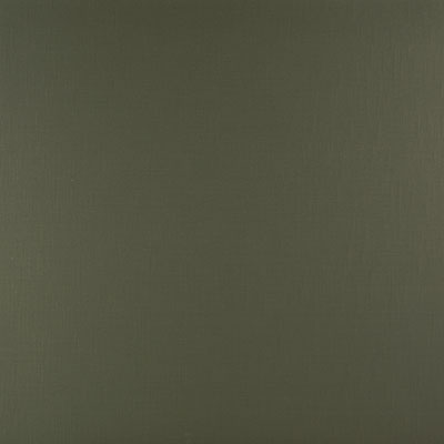 Bainbridge Fabrics & Textures Raw Silks Greenbrier Matboard