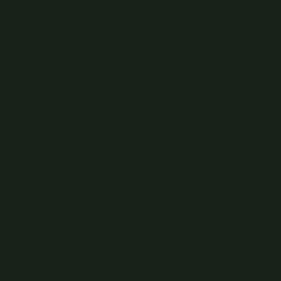Bainbridge AlphaMat Artcare Colors White Core Rainforest Grn Matboard