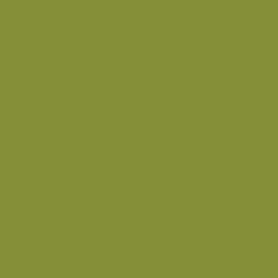 Bainbridge AlphaMat Artcare Colors White Core Wild Olive Matboard