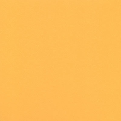 Bainbridge AlphaMat Artcare Colors White Core Goldenrod Matboard