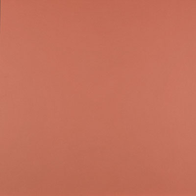 Bainbridge AlphaMat Artcare Colors White Core Papaya Matboard