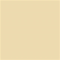 Bainbridge AlphaMat Artcare<br>Colors - White Core<br> Antique<br>32" x 40" 4-Ply<br>Vellum Finish