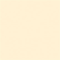 Bainbridge Alpharag Artcare Ivory Matboard