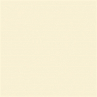 Bainbridge Alpharag Artcare Special Cream Matboard