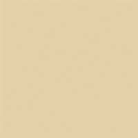 Bainbridge Alpharag Artcare Ecru Matboard