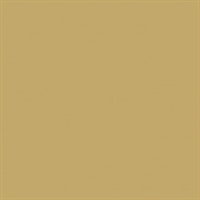 Bainbridge Alpharag Artcare Toasted Wheat Matboard