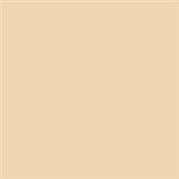 Bainbridge Artcare Alpha Essentials Solid Malacca Matboard