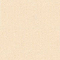 Decor Matboard Oyster Color Sample Swatch