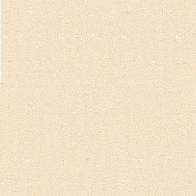 Decor Matboard Oyster Color Sample Swatch