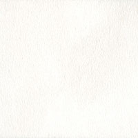 Bainbridge Conservation Basics Fabrics Suedes White Matboard