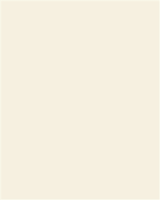 Bainbridge AlphaMat Artcare Colors White Core Wheat Matboard