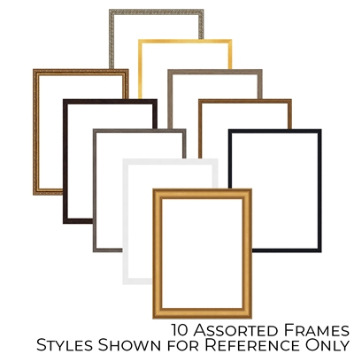 10 Assorted 8" x 10" Frames