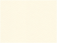 Berkeley Premium Matboard<br />Antique White<br />32x40 4-Ply