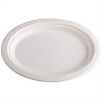 Eco 10" Compostable Plates