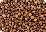 5 Grams - Navajo Ghost Beads Cedar Juniper Berries Seeds with Holes