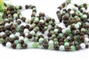 10mm Natural Chrysoprase Gemstone Round Beads