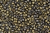 6/0 Czech Seed Beads - Etched Zinc Iris Metallic