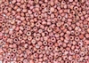 6/0 Czech Seed Beads - Etched Dusty Coral Luster
