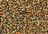 6/0 Czech Seed Beads - Etched Crystal California Gold Rush