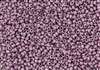 8/0 Czech Seed Beads - Etched Vega Luster