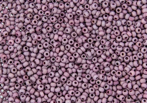 8/0 Czech Seed Beads - Etched Vega Luster