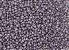 8/0 Czech Seed Beads - Etched Berry Iris Luster