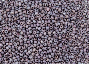 8/0 Czech Seed Beads - Etched Berry Iris Luster