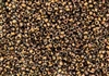 8/0 Czech Seed Beads - Etched Crystal Full Capri Rose/Apollo Gold