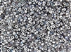 8/0 Czech Seed Beads - Etched Crystal Silver Rainbow