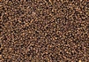 11/0 Czech Seed Beads - Etched Crystal Full Capri Rose/Apollo Gold