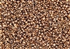 11/0 Czech Seed Beads - Etched Crystal Full Capri/Apollo Gold