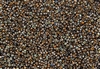 11/0 Czech Seed Beads - Etched Crystal Magic Copper