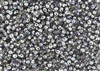 3.4mm Drop Miyuki Japanese Seed Beads - Crystal Silver Rainbow