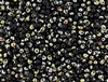 3.4mm Drop Miyuki Japanese Seed Beads - Black Vitrail