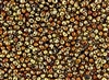 3.4mm Drop Miyuki Japanese Seed Beads - Black California Gold Rush